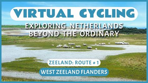 Fietsroute West Zeeuws Vlaanderen Virtueel Fietsen Youtube