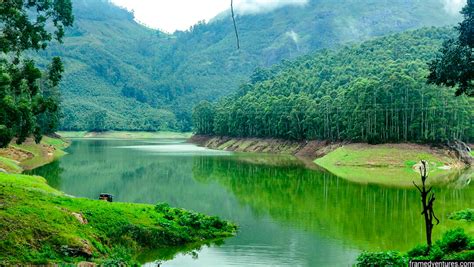 7 Vattavada Tourist Places To Visit: Hidden Paradise in Munnar