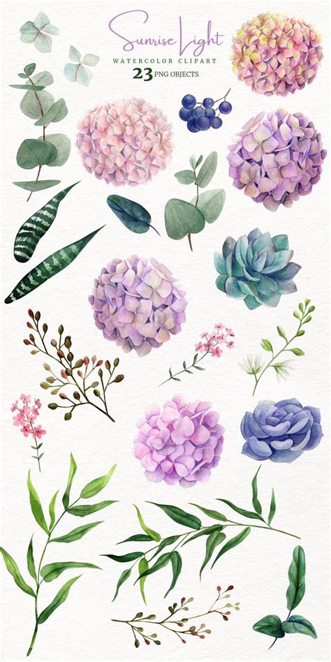 Watercolor Floral Collection | Bright Hand Drawn Botanical Floral ...