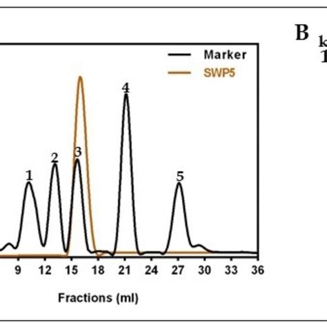 The Sds Page Gel Western And Dot Blot Analysis Of Swp Using Anti His