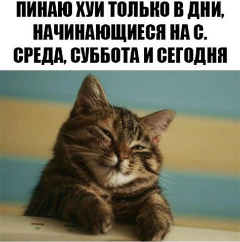 Мемы и картинки с текстом (30 фото) 22.02.2019