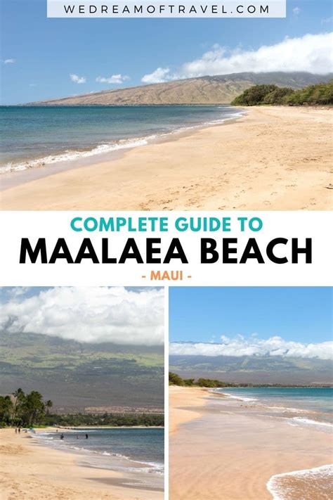 🏝 Maalaea Beach Maui Ultimate Visitors Guide 2024