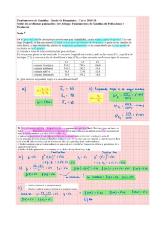 Problemas Seminarios Bloque Resueltos Pdf