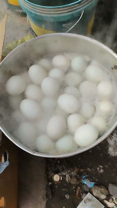 Bili Na Kayo Penoy At Balut Luto Mainit Pa Balutvendor Hanapbuhay Ko