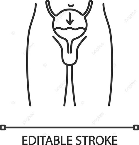 Urinary Incontinence Linear Icon Unhealth Problem Clip Art Vector Unhealth Problem Clip Art