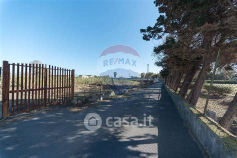 Terreni Agricoli In Vendita In Provincia Di Catania Casa It