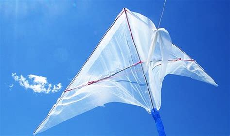 Build A Delta Kite And Explore Some Of The Forces Involved In Flight