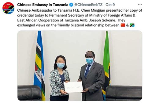 China’s New Ambassador To Tanzania Presents Her Credentials The China Global South Project