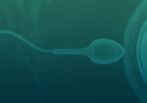 Sperm Dna More Predictive Than Sperm Count Exact Test Examen