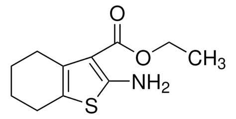 Ethyl Amino Tetrahydrobenzo B Thiophene Carboxylate