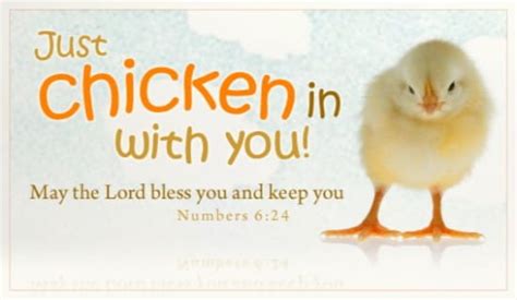 Free Chicken In Ecard Email Free Personalized Scripture Online