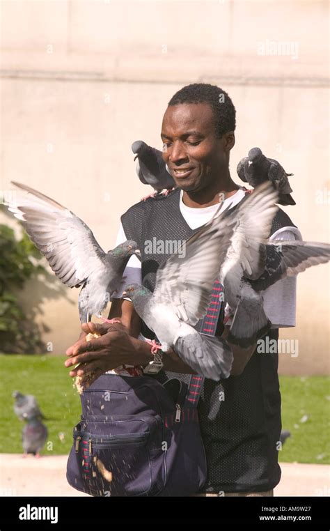 man feeding pigeons in trafalger square London Stock Photo - Alamy