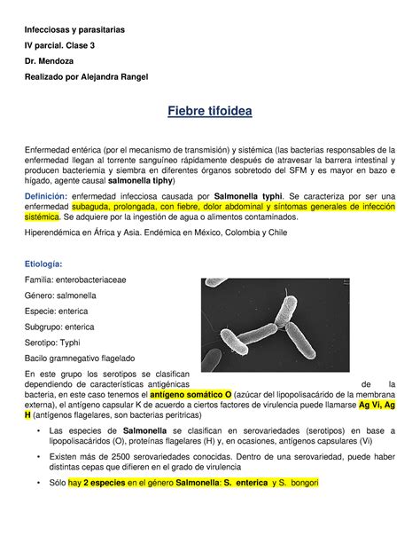 Clase Fiebre Tifoidea Infecciosas Y Parasitarias Iv Parcial Clase