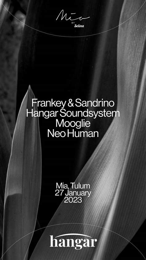 Frankey Sandrino Mia Beach Club Tulum TULUM PARTY