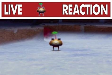 All of my Pikmin Reaction Memes : r/Pikmin