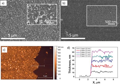 Representative Scanning Electron Microscopy Sem Images Of Nm