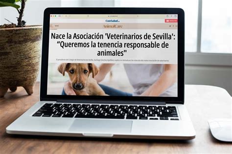 Los Retos De La Asociación Veterinarios De Sevilla” D Santiago