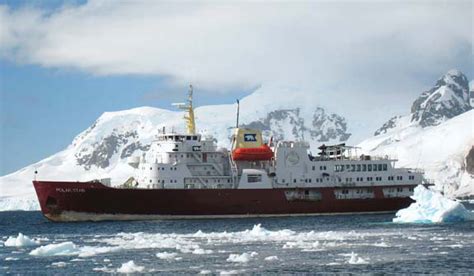 antarctica | Cruise Law News