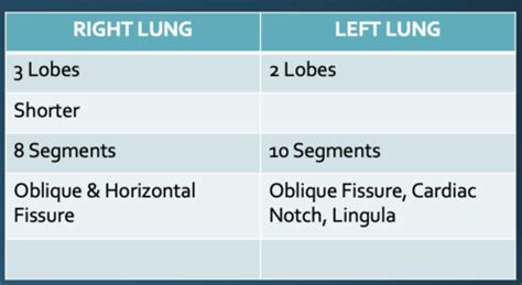 Cp Pulmonary Respiratory A P Flashcards Quizlet