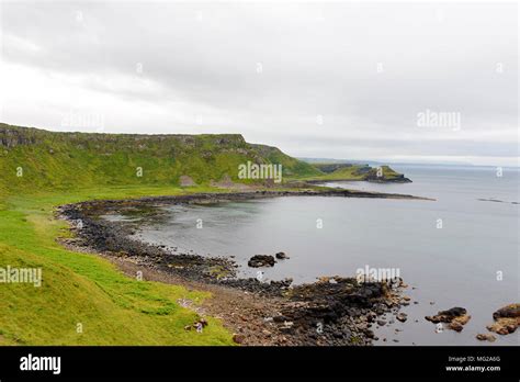 Nature of the Giant's Causeway and Causeway Coast, the result of an ...