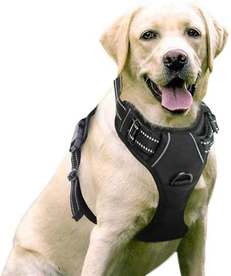 2021s 7 Best Indestructible Chew Proof Dog Harnesses