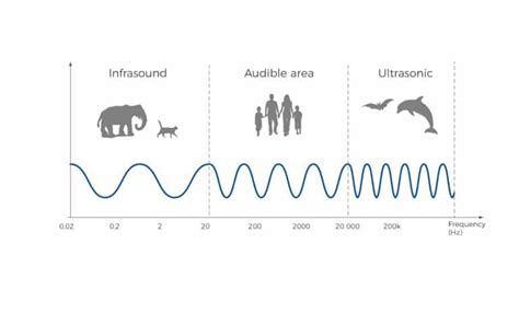 Sound wave definition, characteristics, and use in acoustics.