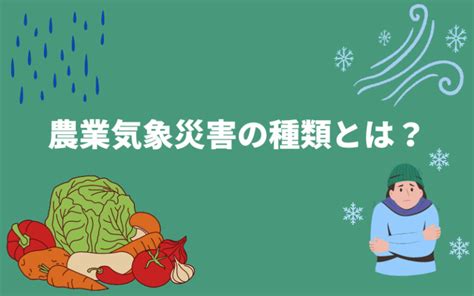 農業気象災害とは？被害を最小限にする対策についても解説 トヨクモみんなのbcp