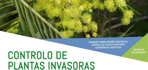 Controlo De Plantas Invasoras Plantas Invasoras Em Portugal