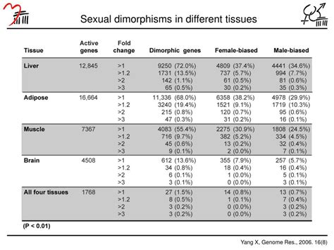 Ppt Sexually Dimorphic Gene Expression In Somatic Tissues Powerpoint