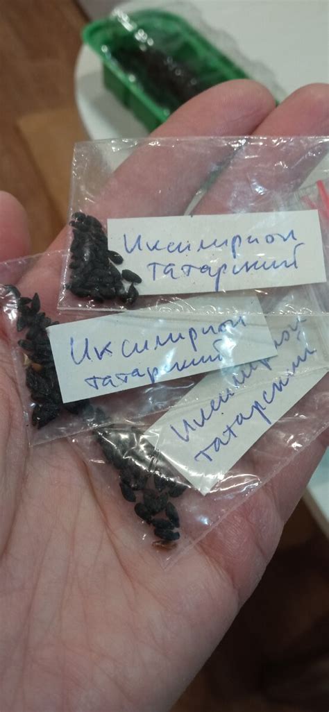 Приехали семена. Поделюсь контактами продавца - все честно | Цветочная ...