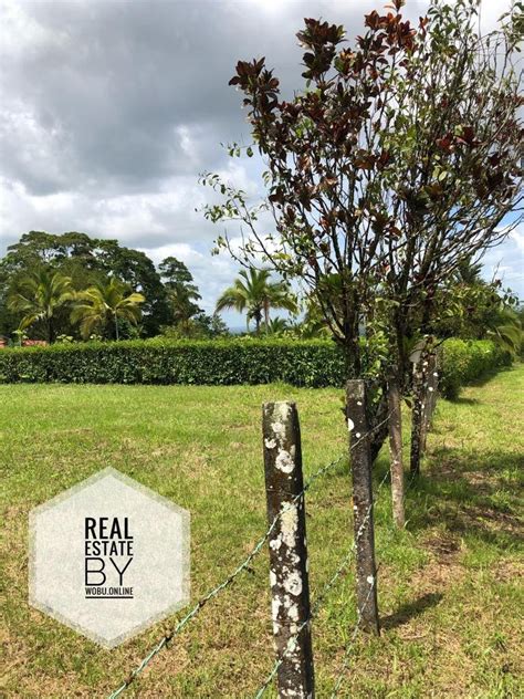 Lote Terreno Quinta San Isidro de Peñas Blancas Carretera hacia