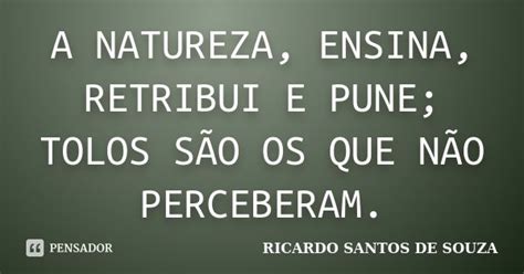 Ricardo Santos De Souza Frases Inspiracionais Poemas Pensamentos