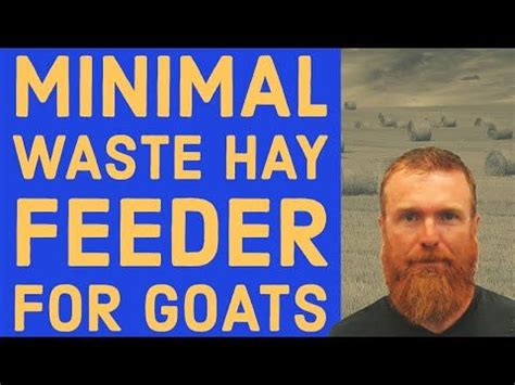 25 DIY Goat Hay Feeder Plans You Can Build Today | Goat hay feeder, Hay ...