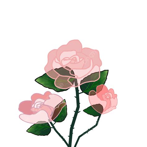 Wild Roses Wild Flowers Rose Png Transparent Clipart Image And Psd