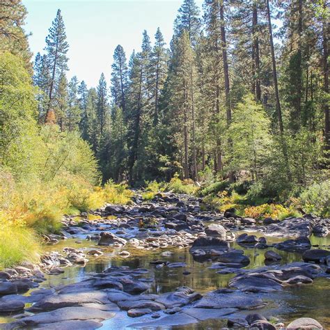 Wawona Campground Outdoor Project