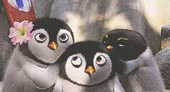 Penguins Surfsup Penguins Surfsup Movie Discover Share GIFs