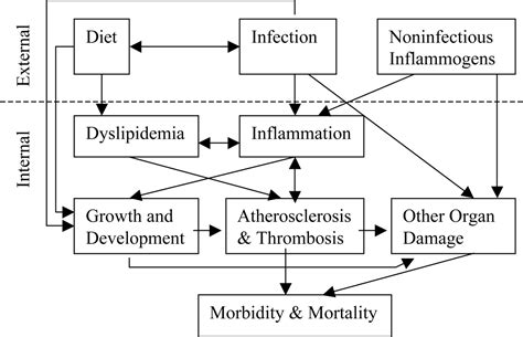 Infection Inflammation Height And Longevity PNAS