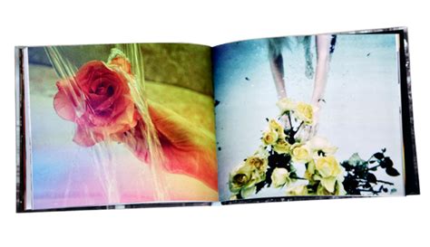 The Collective Yes Photography Art Book By La Based American