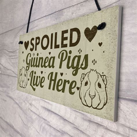 Spoiled Guinea Pigs Live Here Beautiful Handmade Gift Sign For Guinea