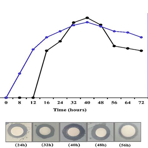 A Production Of Bacteriocin And Inhibition Activity Against