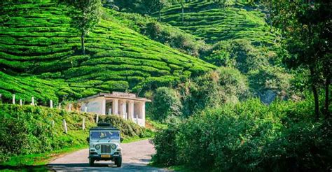 Get To Know Where All To Visit On Your Trip To Munnar Dream Coconut Villa Resort