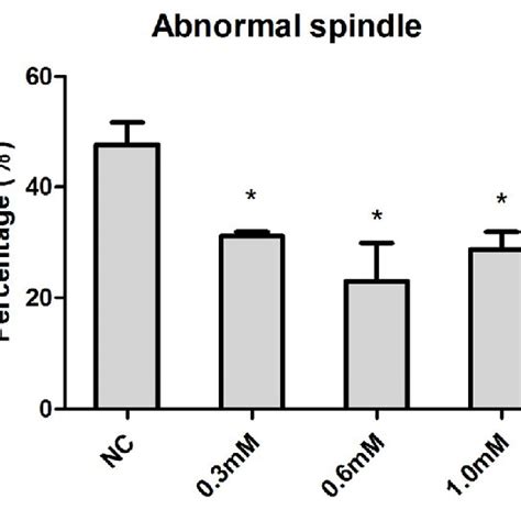 Concentration Dependent Effect Of NAC On Spindle Morphology In