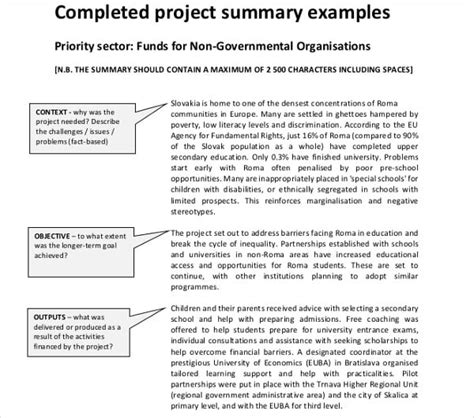 17+ Project Summary Templates - PDF, DOC | Free & Premium Templates