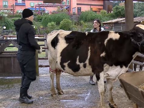 A Fazenda 2021 MC Gui Diz Para Liziane Agir Sabedoria