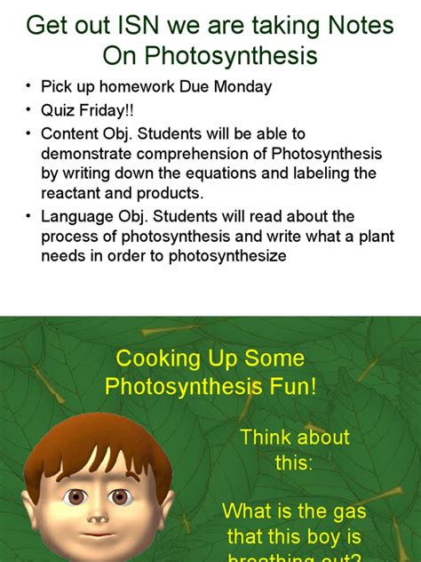 Photosynthesis Reactants and Products | PDF | Photosynthesis | Stoma