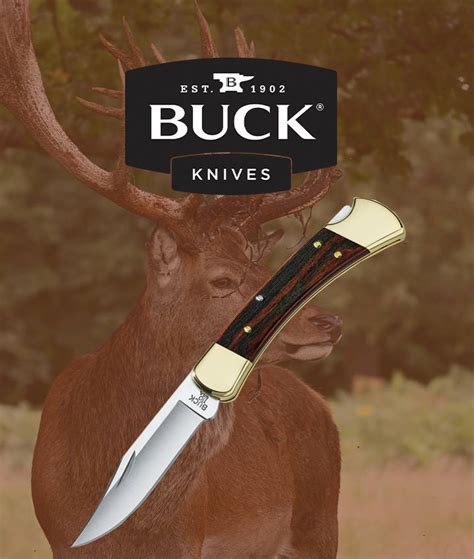 Buck 110 Folding Knife history, features, and which to buy