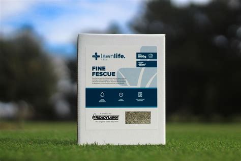 Fine Fescue - Grass seed - Lawn Care Products | Readylawn