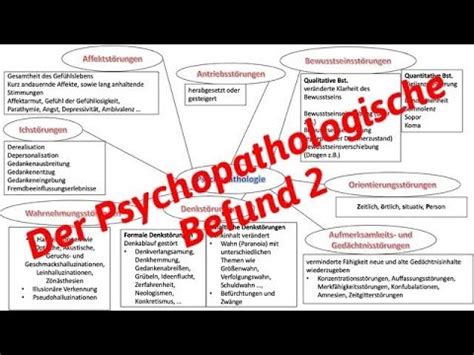 Heilpraktiker F R Psychotherapie Der Psychopathologische Befund