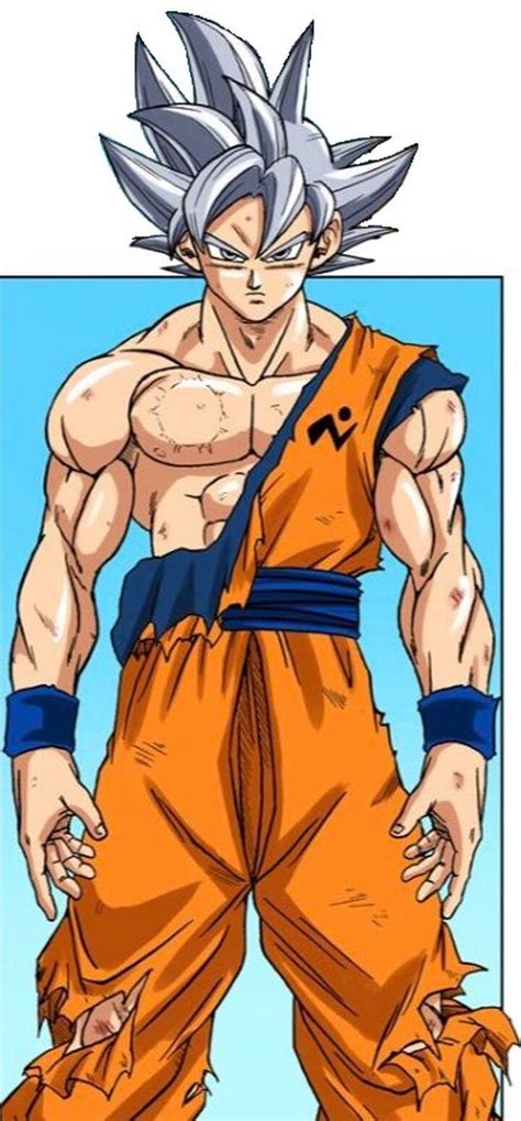 Perfected Ultra Instinct Dragon Ball Wiki Fandom In 2023 Goku