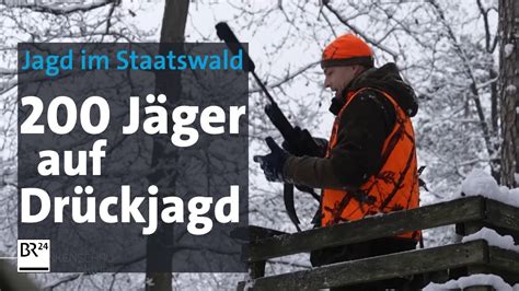 Umstrittene Drückjagd 200 Jäger reduzieren den Wildbestand im Wald